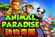 Animal Paradise
