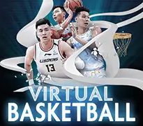 Virtual Basketball
