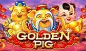 Golden Pig